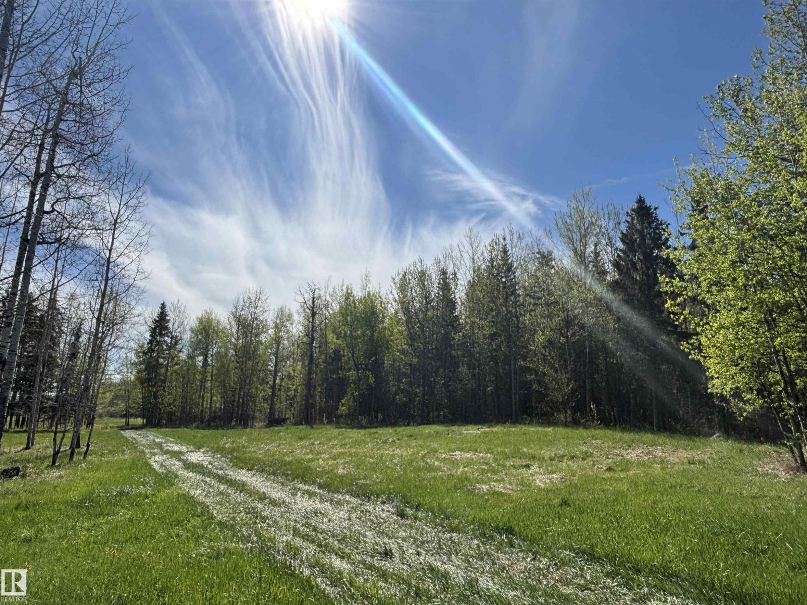 49501 Range Road 81, Rural Brazeau County, Alberta  T7A 2A3 - Photo 22 - E4488838