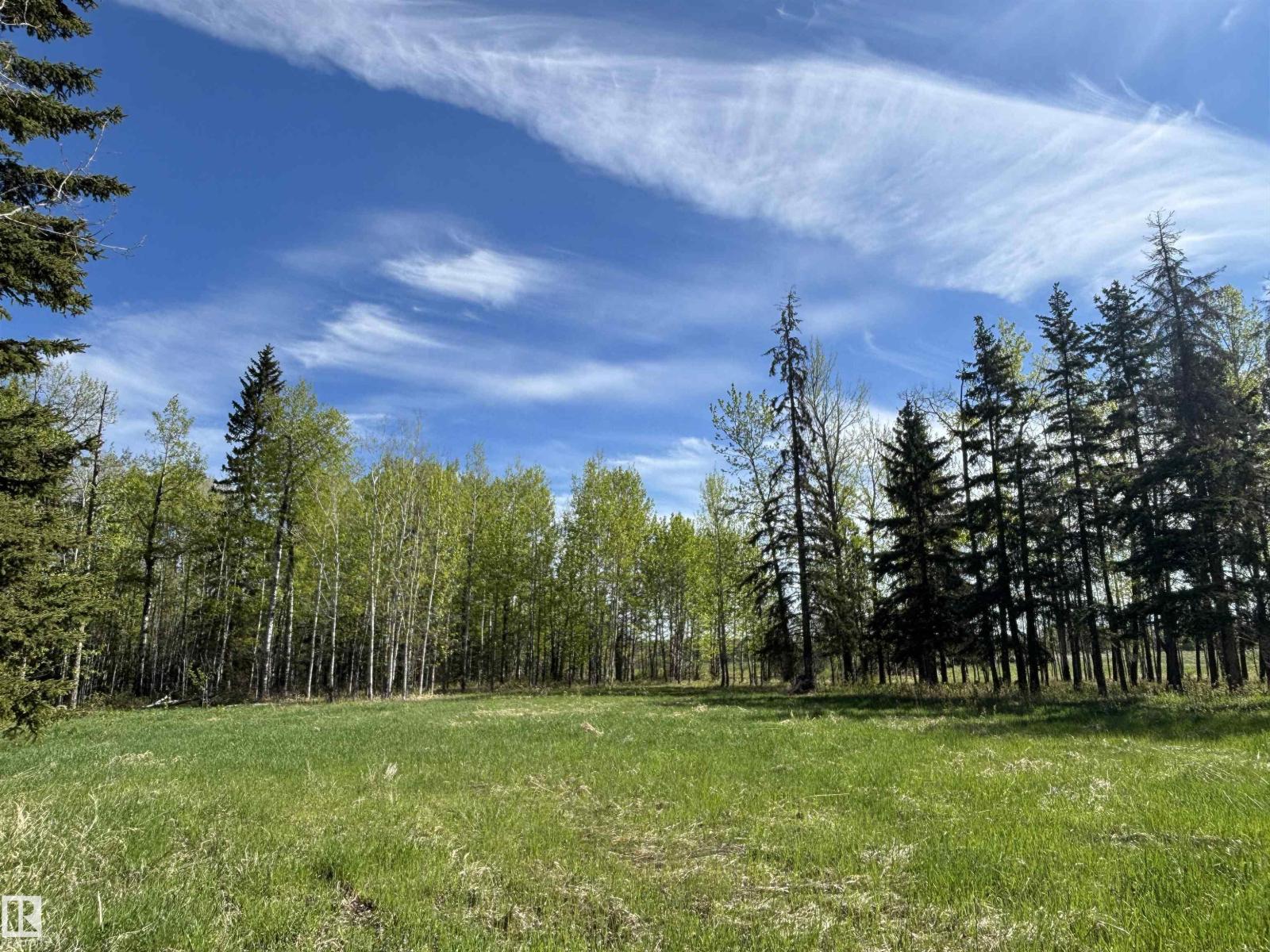 49501 Range Road 81, Rural Brazeau County, Alberta  T7A 2A3 - Photo 23 - E4488838