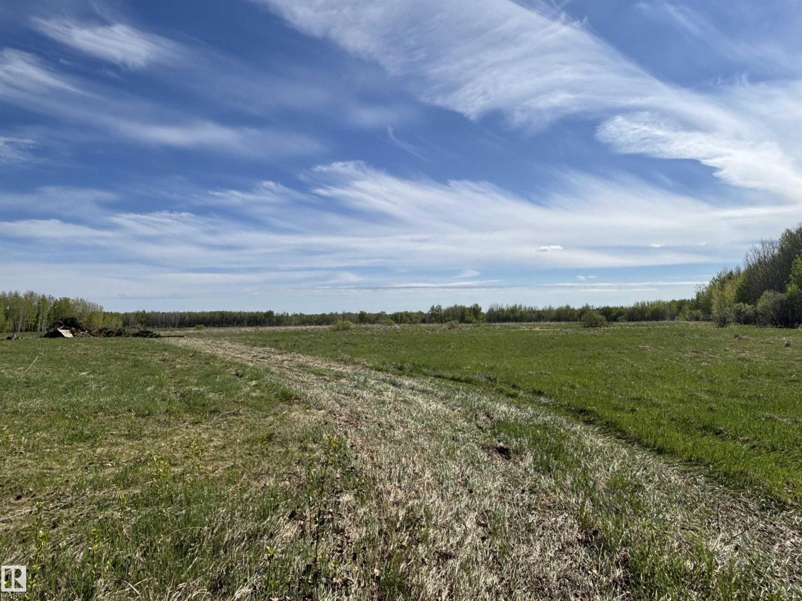 49501 Range Road 81, Rural Brazeau County, Alberta  T7A 2A3 - Photo 24 - E4488838