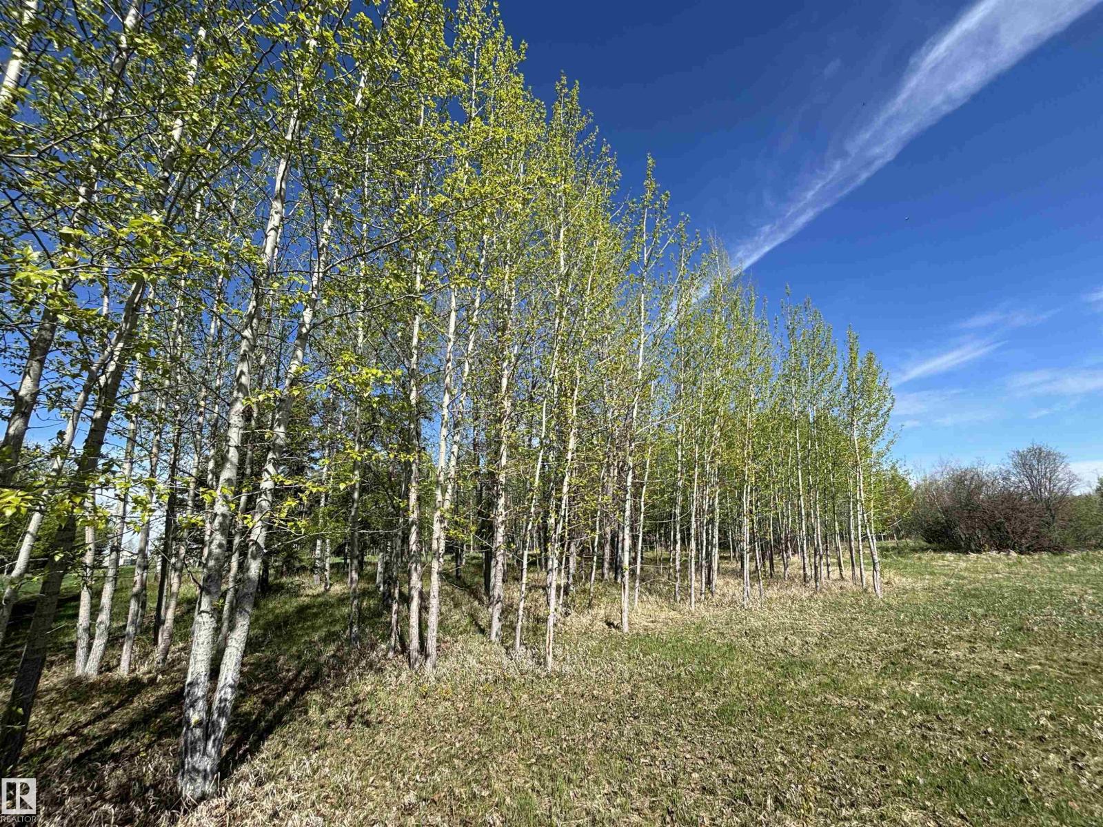 49501 Range Road 81, Rural Brazeau County, Alberta  T7A 2A3 - Photo 26 - E4488838