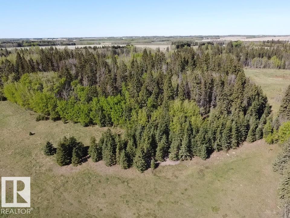 Twp Rd 473a And Rge Rd 243a, Rural Wetaskiwin County, Alberta T0C 1Z0 - Photo 2 - E4489188