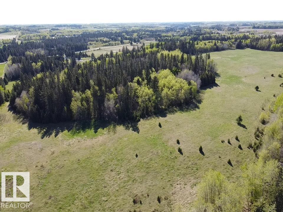 Twp Rd 473a And Rge Rd 243a, Rural Wetaskiwin County, Alberta T0C 1Z0 - Photo 4 - E4489188