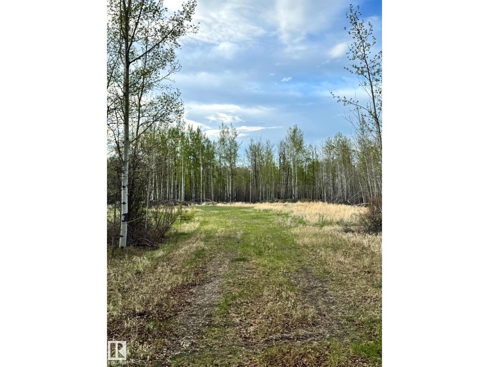 6206 Hwy 16, Rural Parkland County, Alberta T0E 0W0 - Photo 8 - E4489251