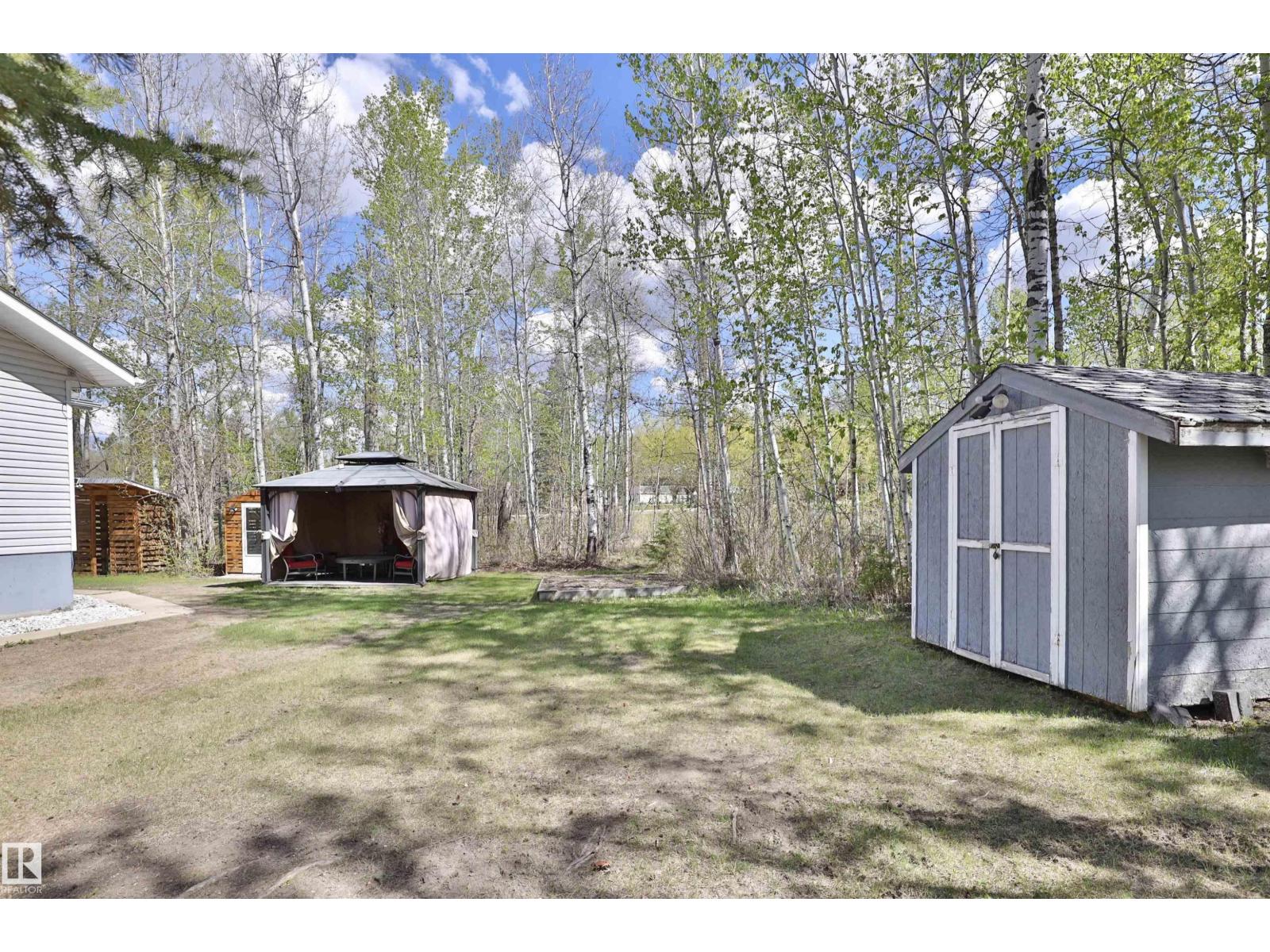 5502 39 St, Rural Wetaskiwin County, Alberta T0C 2C0 - Photo 8 - E4489410