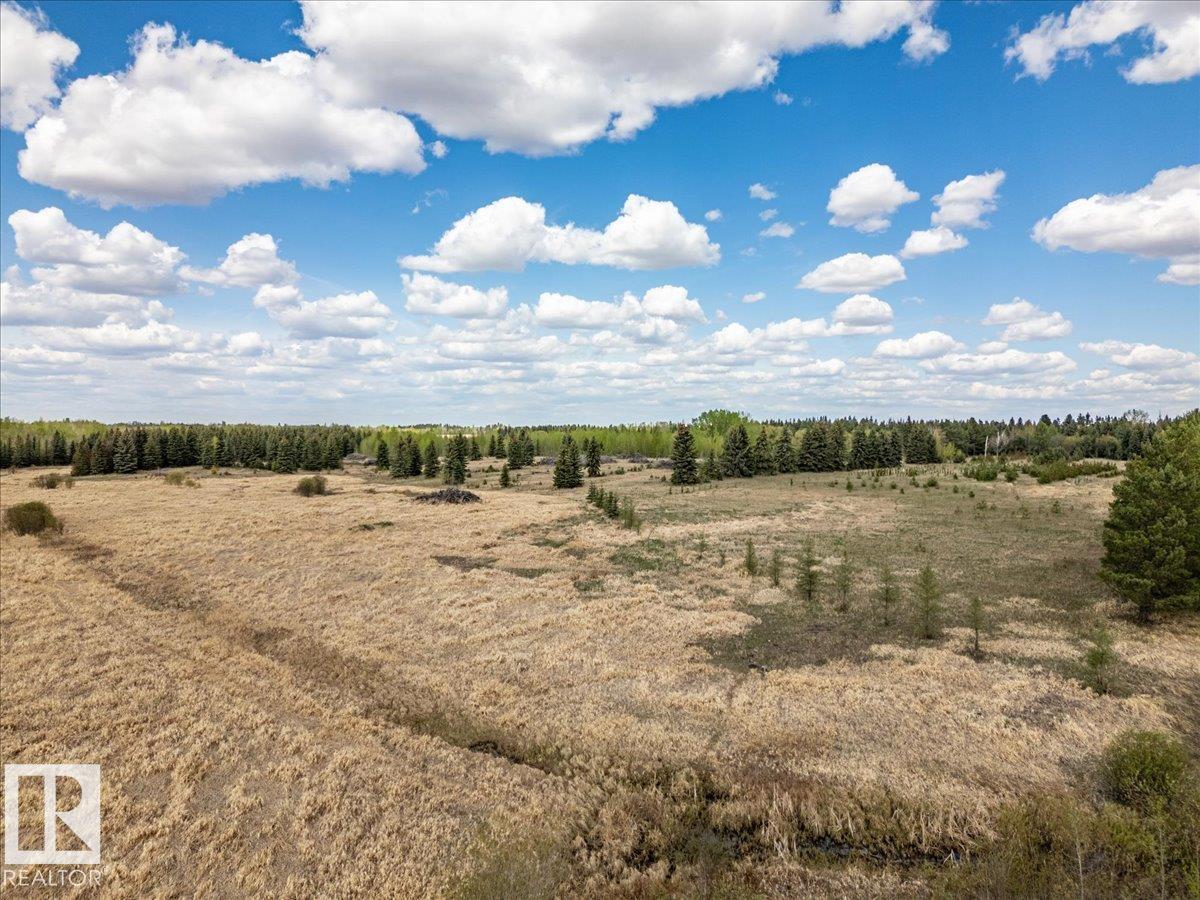 Part Of Se-16-47-24-W4, Rural Wetaskiwin County, Alberta T0C 1Z0 - Photo 7 - E4489510