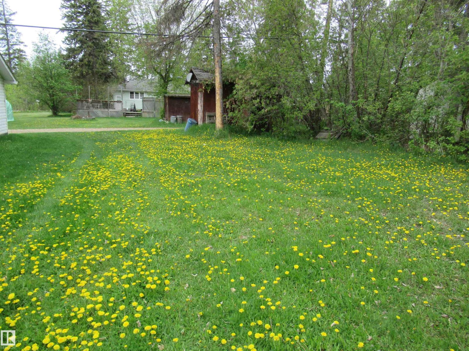 5817 49 St, Rural Wetaskiwin County, Alberta T0C 2C0 - Photo 5 - E4489811