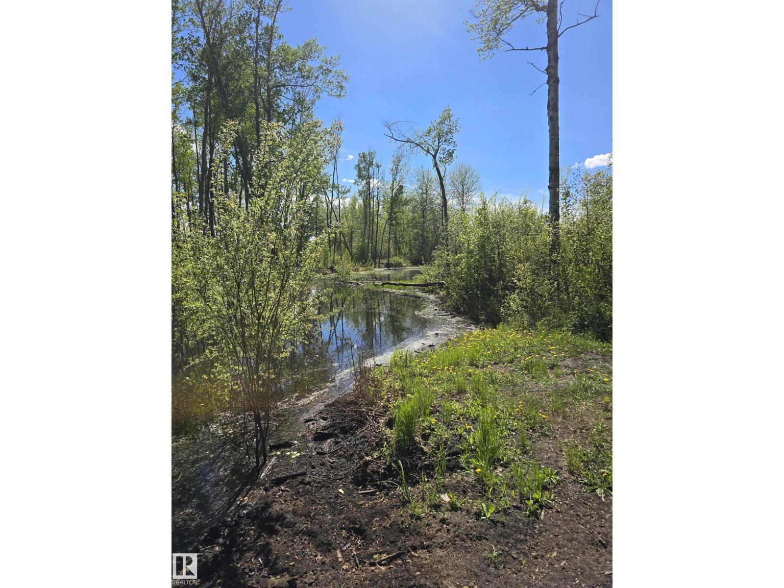 55303 R.r.13, Rural Lac Ste. Anne County, Alberta T0E 1V0 - Photo 8 - E4489920