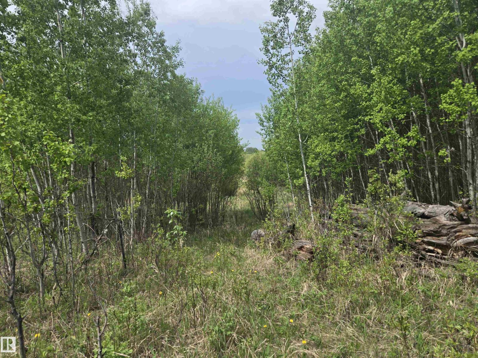 Twp Rd 540 & Range Rd 35, Rural Lac Ste. Anne County, Alberta T0E 0A0 - Photo 3 - E4490010