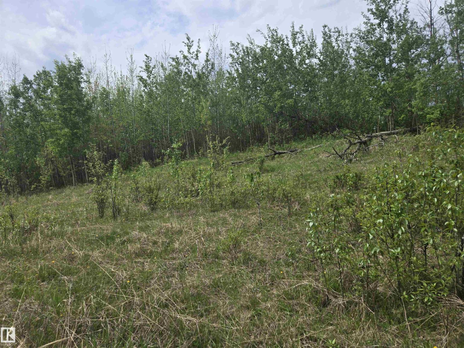 Twp Rd 540 & Range Rd 35, Rural Lac Ste. Anne County, Alberta T0E 0A0 - Photo 4 - E4490010
