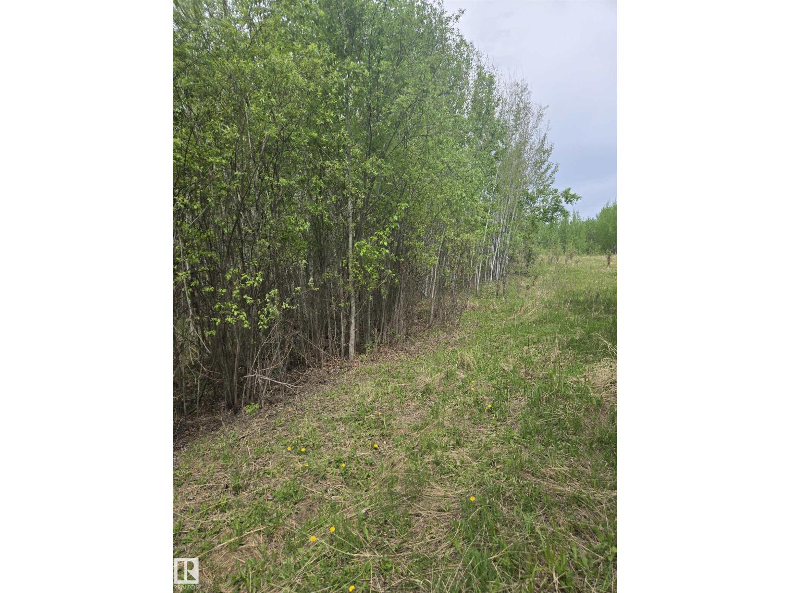 Twp Rd 540 & Range Rd 35, Rural Lac Ste. Anne County, Alberta T0E 0A0 - Photo 5 - E4490010