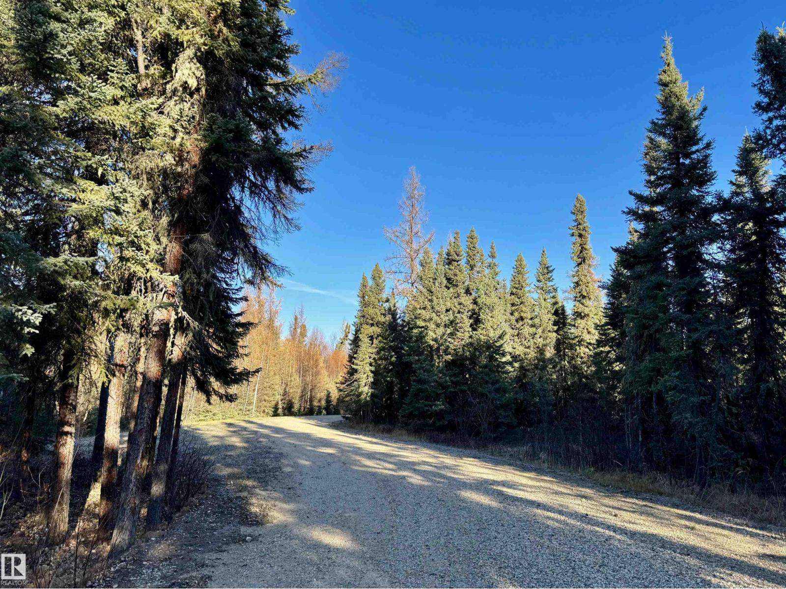 8402 Township 503, Rural Brazeau County, Alberta T7A 2A3 - Photo 37 - E4490047