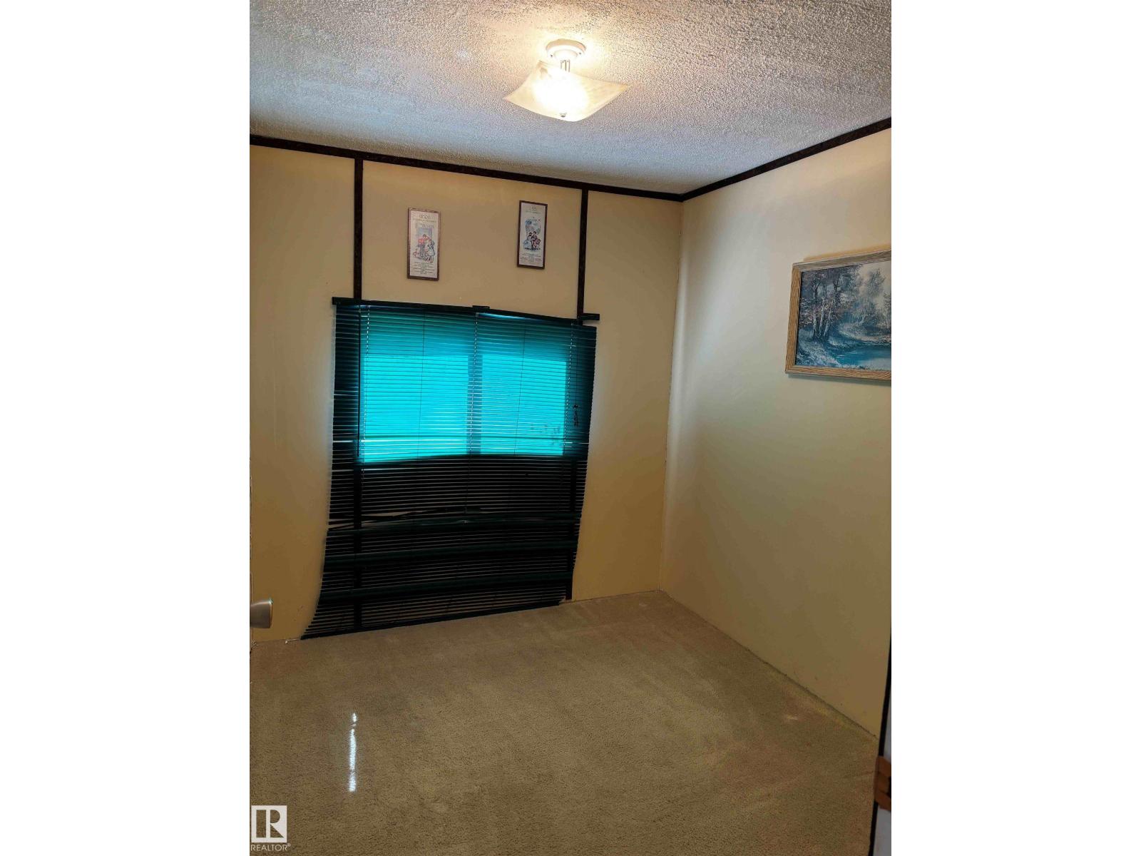 904 Lakeshore Dr., Buck Lake, Rural Wetaskiwin County, Alberta T0C 0T0 - Photo 10 - E4490057