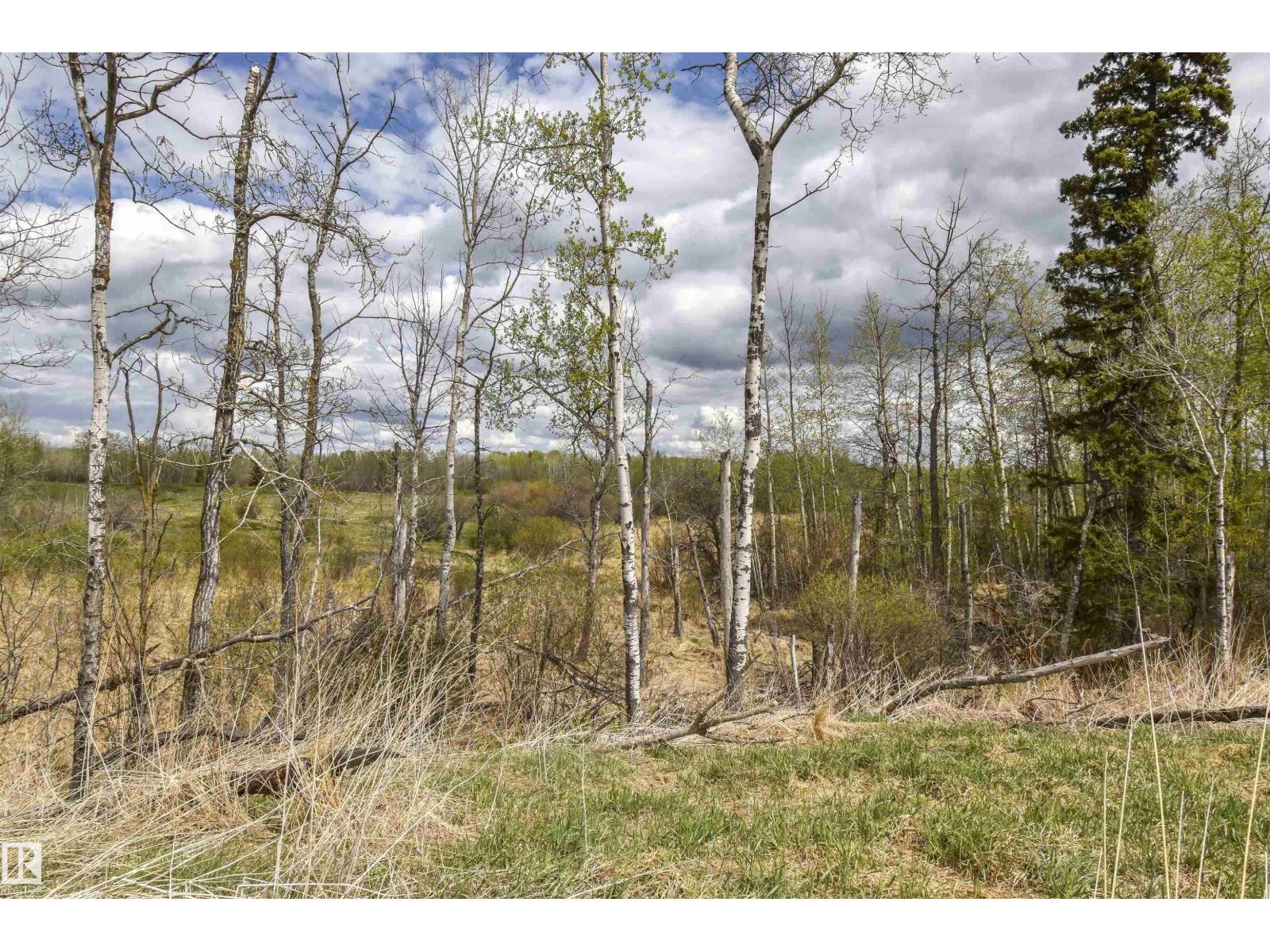 53205a Rge Rd 35, Rural Parkland County, Alberta T0E 2K0 - Photo 15 - E4490082
