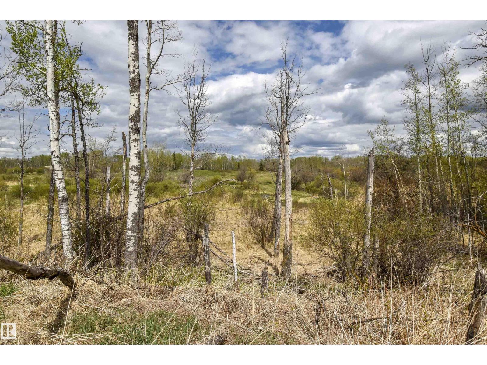 53205a Rge Rd 35, Rural Parkland County, Alberta T0E 2K0 - Photo 16 - E4490082