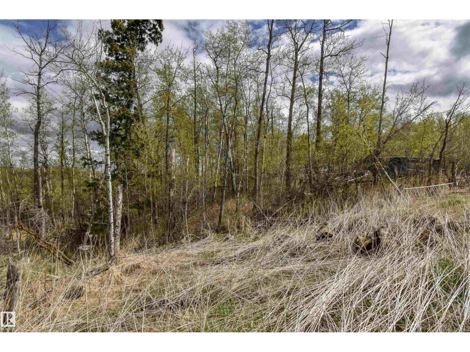 53205a Rge Rd 35, Rural Parkland County, Alberta T0E 2K0 - Photo 17 - E4490082
