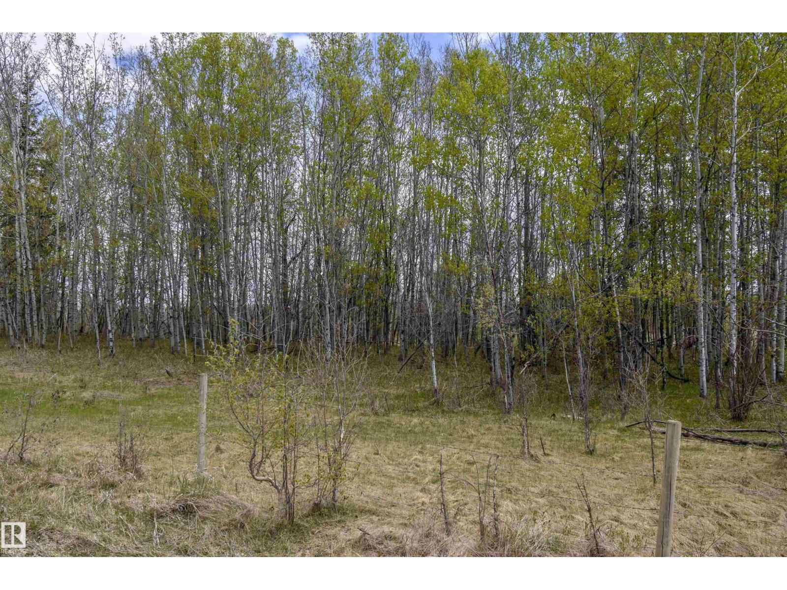 53205a Rge Rd 35, Rural Parkland County, Alberta T0E 2K0 - Photo 20 - E4490082