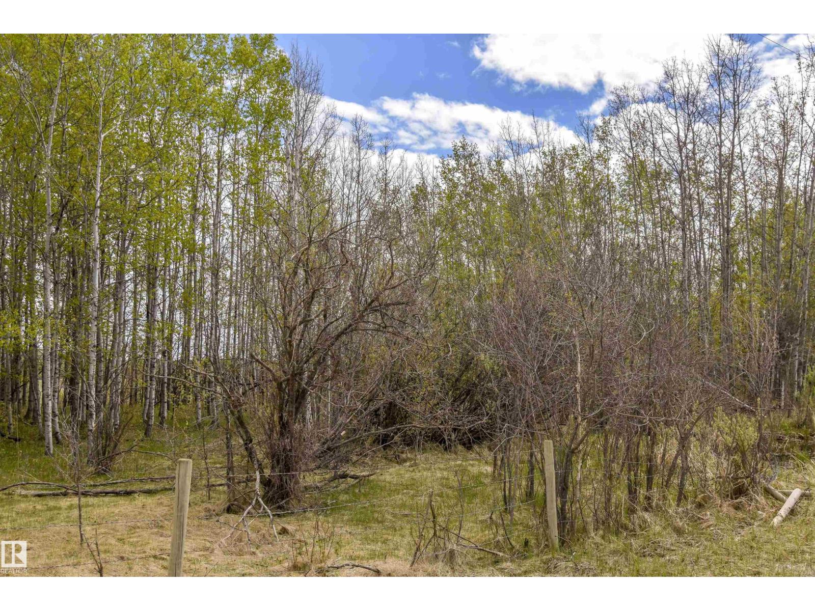 53205a Rge Rd 35, Rural Parkland County, Alberta T0E 2K0 - Photo 21 - E4490082