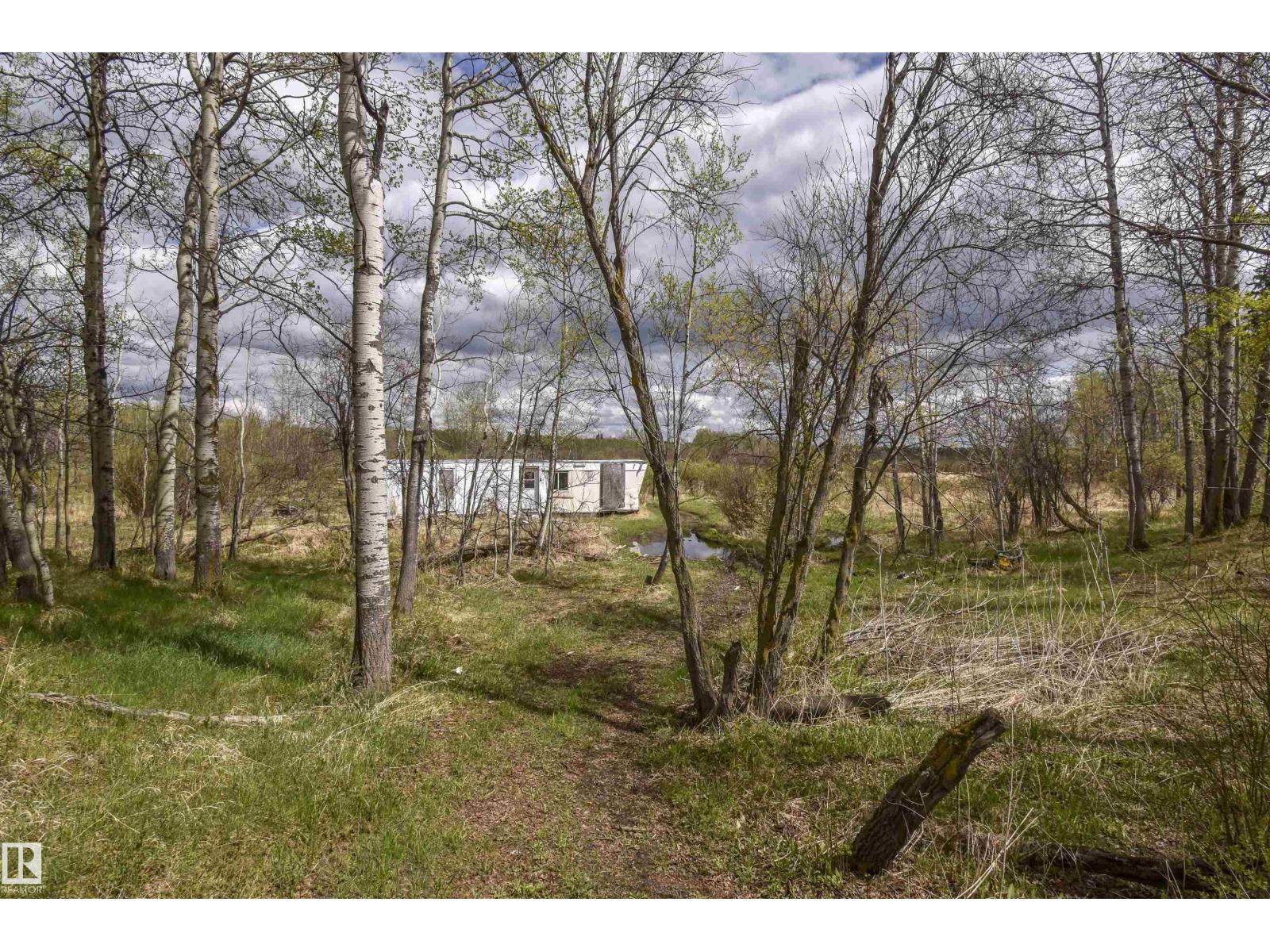 53205a Rge Rd 35, Rural Parkland County, Alberta T0E 2K0 - Photo 9 - E4490082