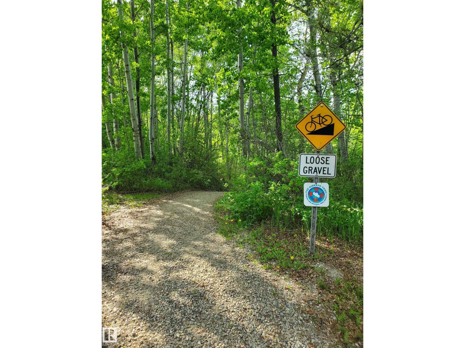 516 5 Norris Beach Pigeon Lake St, Rural Wetaskiwin County, Alberta T0C 2V0 - Photo 17 - E4490101