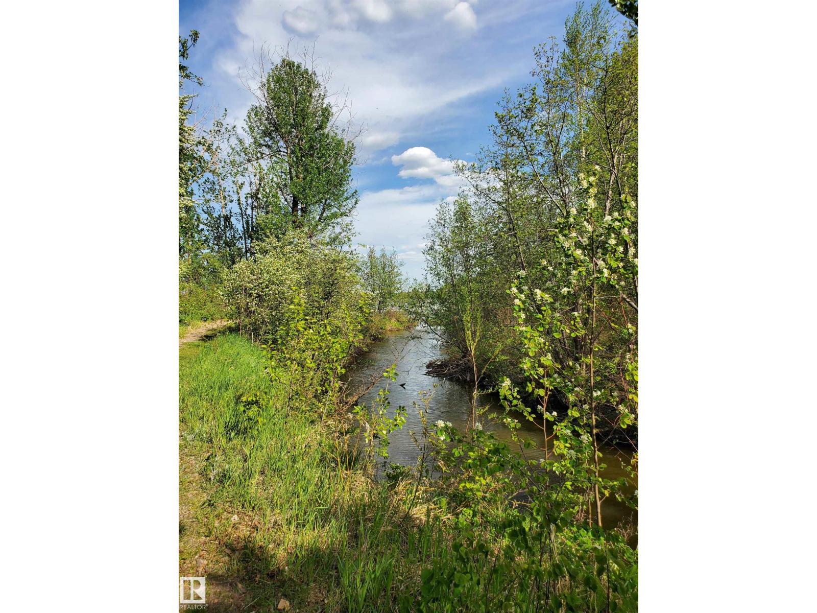 516 5 Norris Beach Pigeon Lake St, Rural Wetaskiwin County, Alberta T0C 2V0 - Photo 19 - E4490101