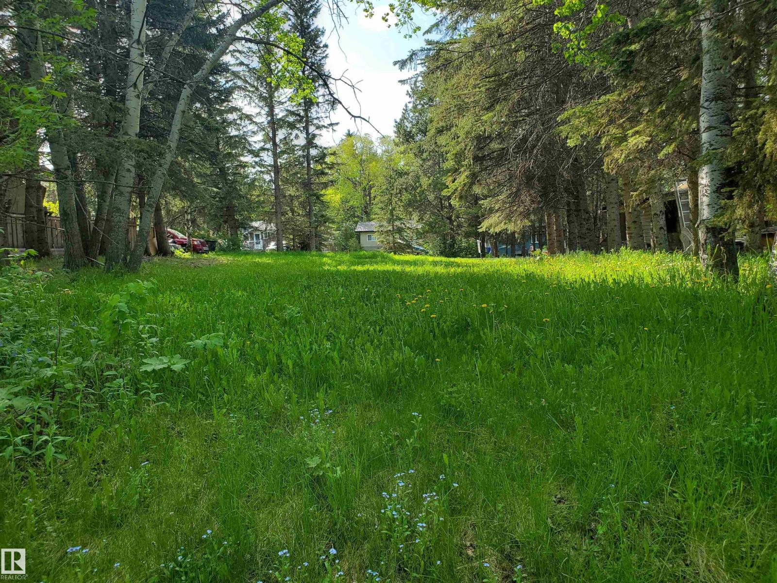 516 5 Norris Beach Pigeon Lake St, Rural Wetaskiwin County, Alberta T0C 2V0 - Photo 2 - E4490101