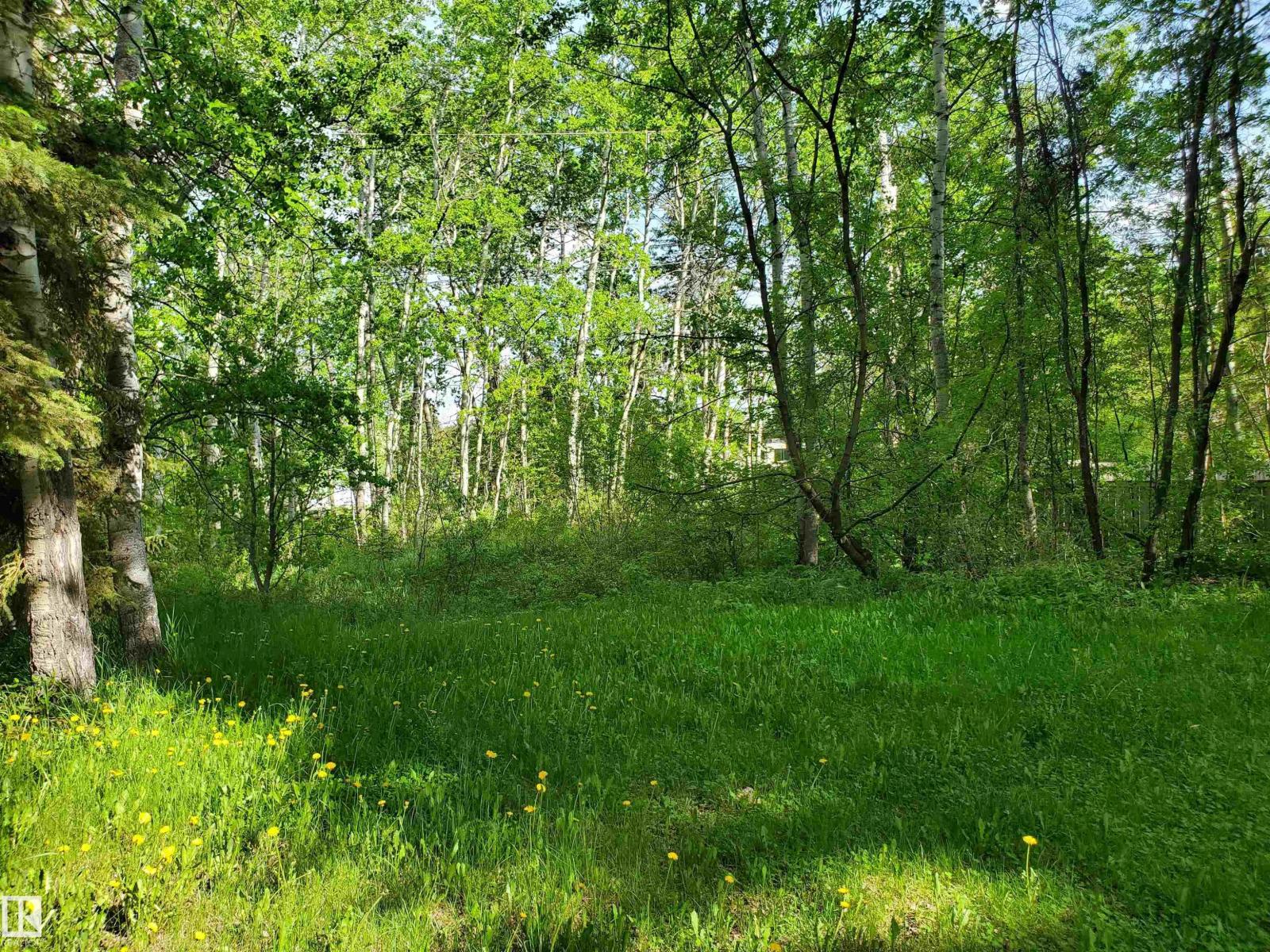 516 5 Norris Beach Pigeon Lake St, Rural Wetaskiwin County, Alberta T0C 2V0 - Photo 3 - E4490101