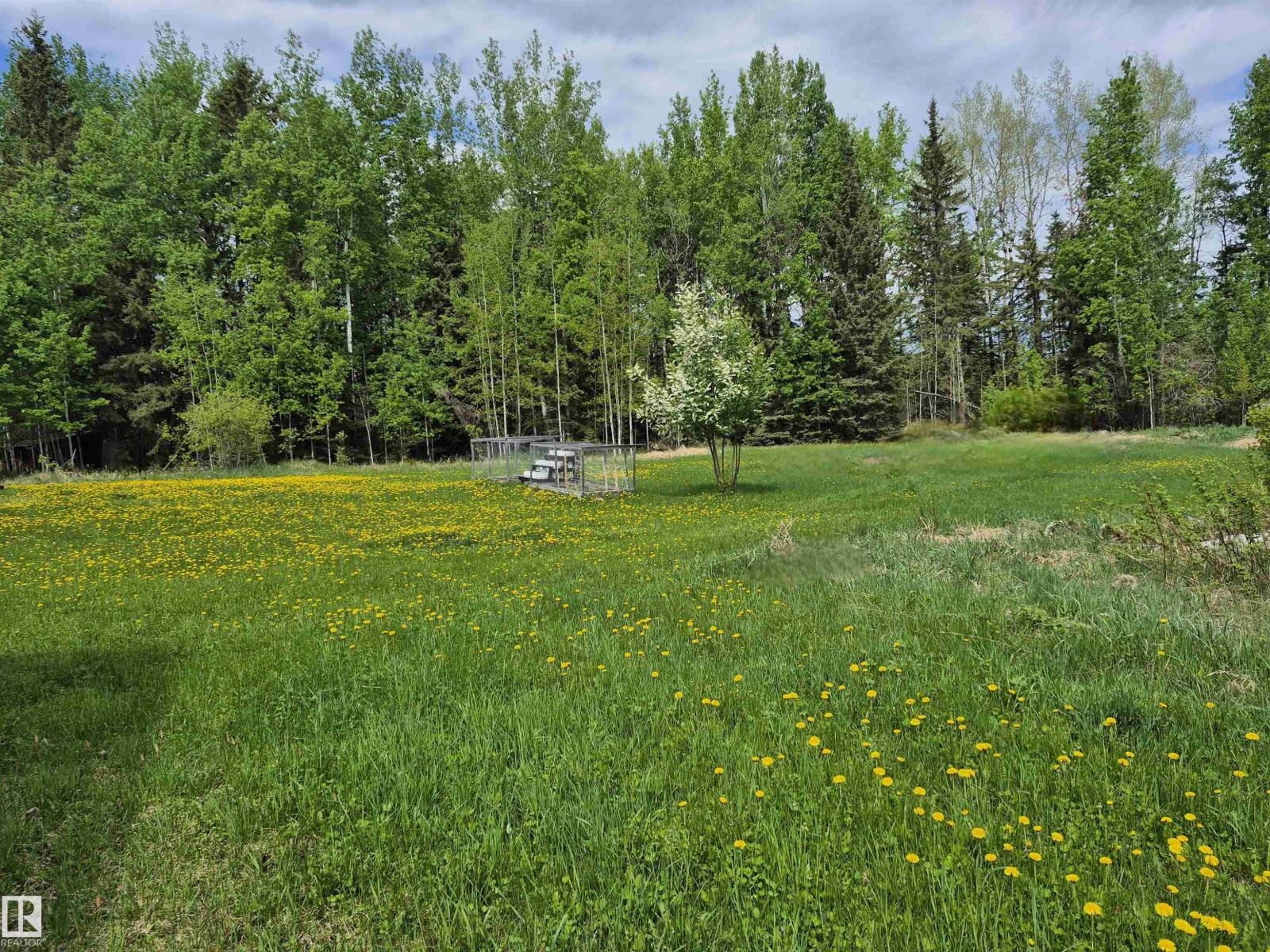 53018 Rge Rd 95, Rural Yellowhead, Alberta T0E 2M0 - Photo 3 - E4490328