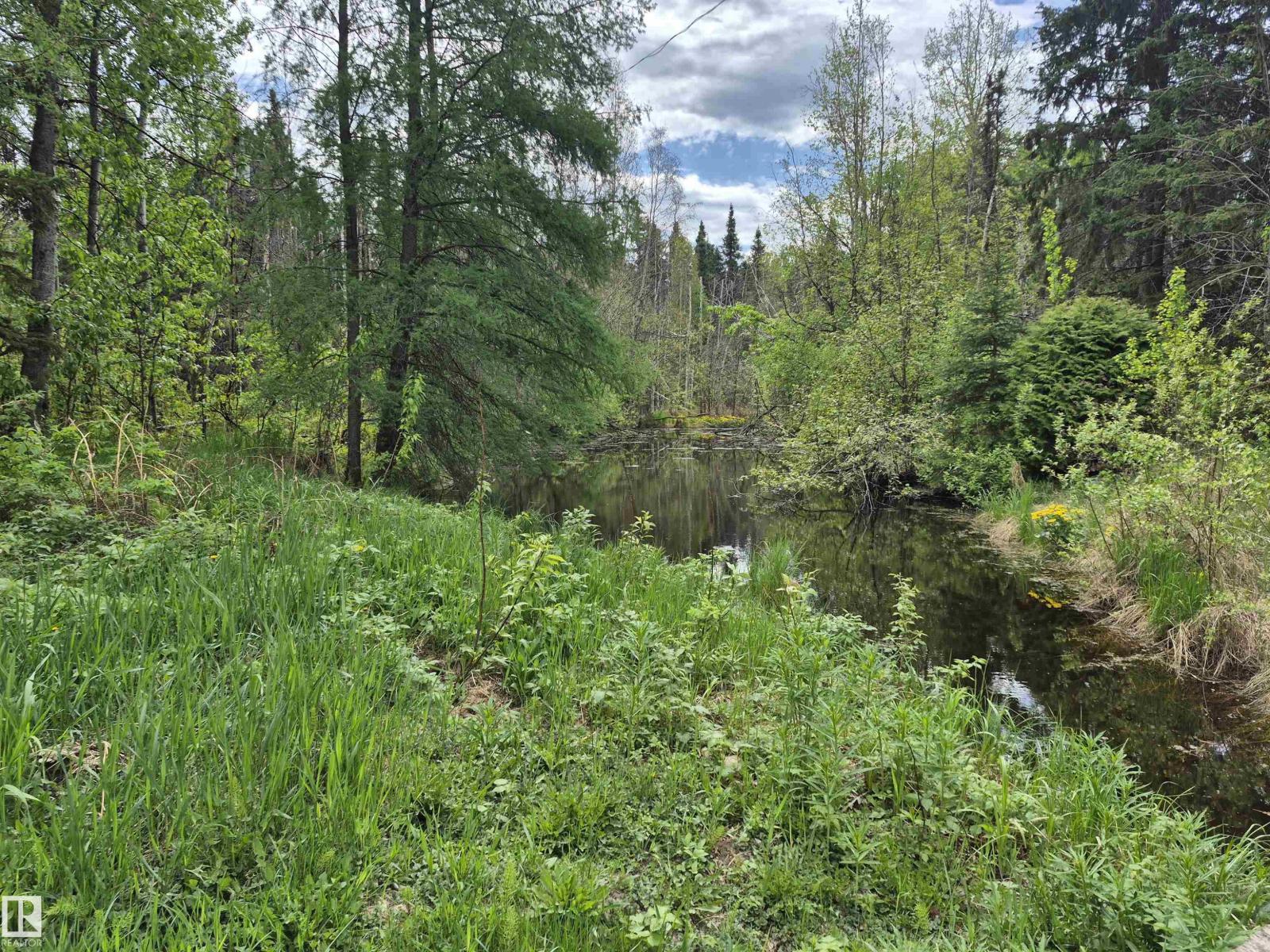 53018 Rge Rd 95, Rural Yellowhead, Alberta T0E 2M0 - Photo 4 - E4490328