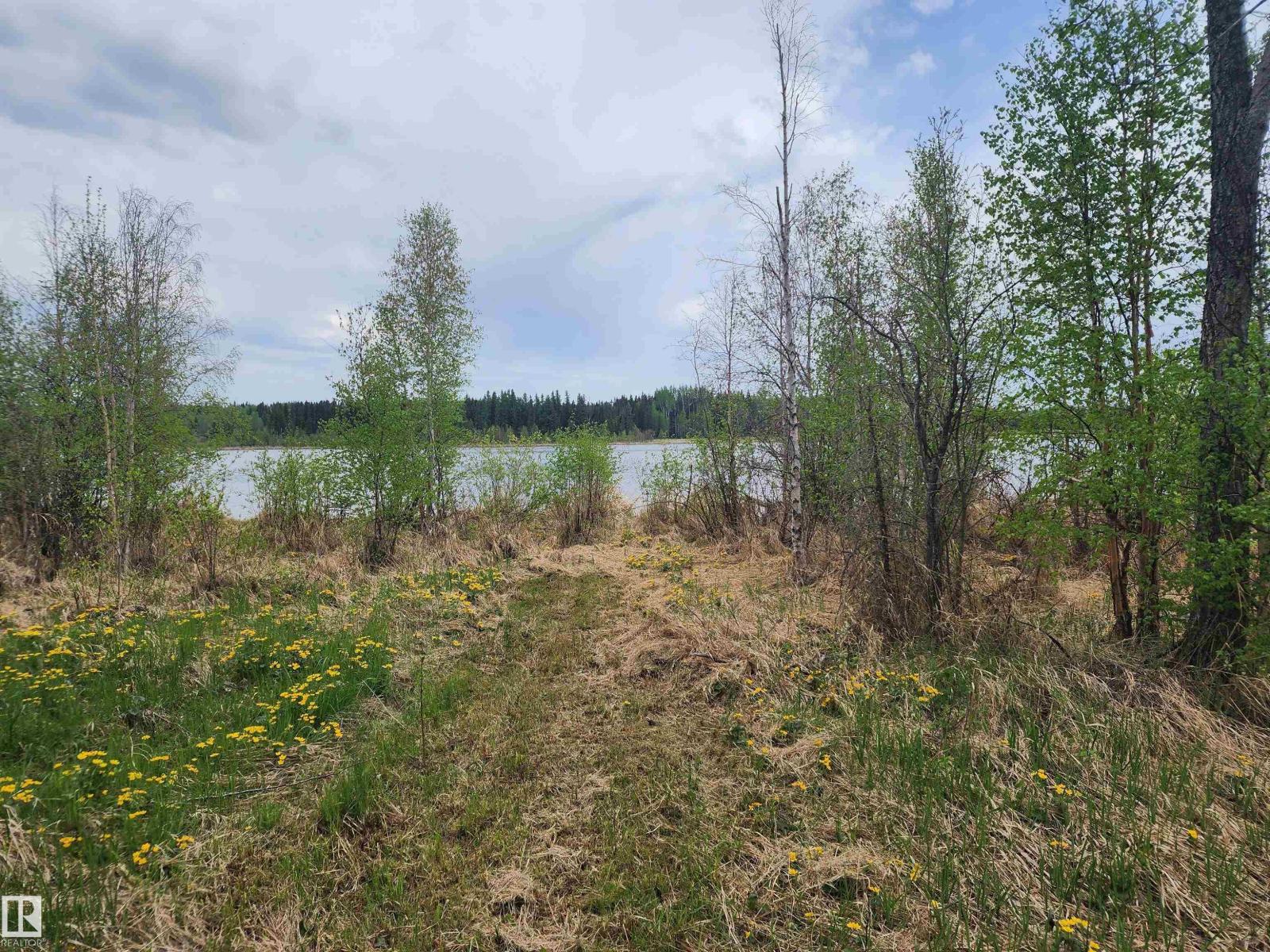 #332 464068 Hwy 761, Rural Wetaskiwin County, Alberta T0C 0T0 - Photo 11 - E4490399