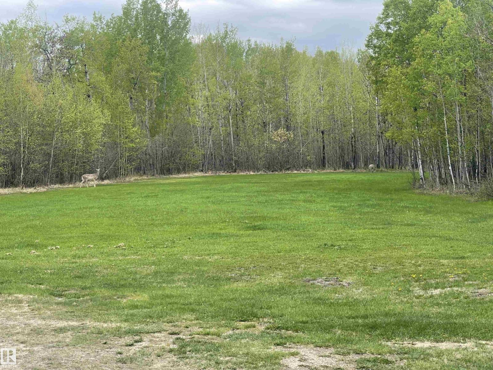 57318 Rge Rd 25, Rural Barrhead County, Alberta  T0E 1A0 - Photo 45 - E4490517