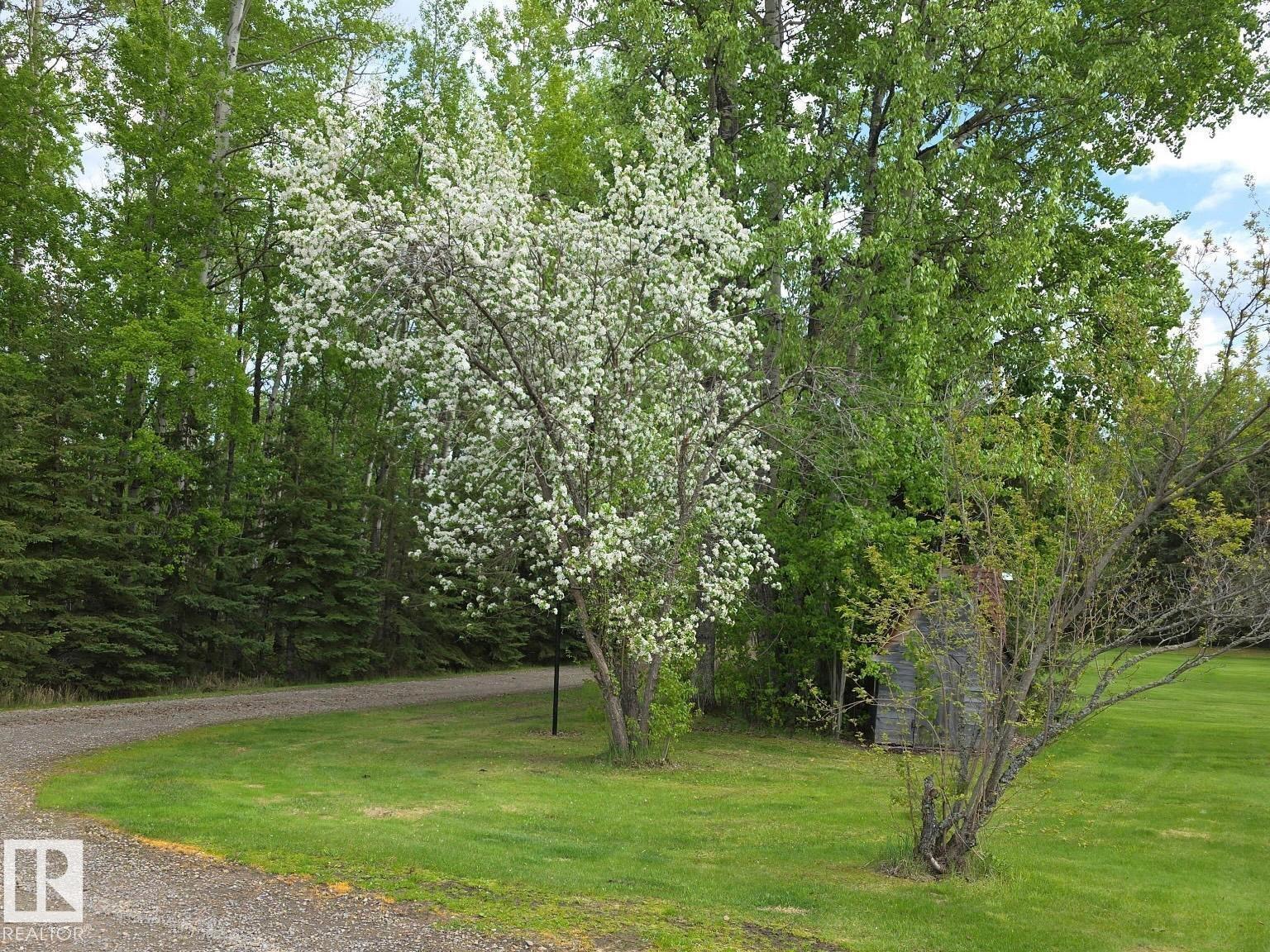 75042 Twp Road 464, Rural Wetaskiwin County, Alberta T0C 0A0 - Photo 5 - E4490961