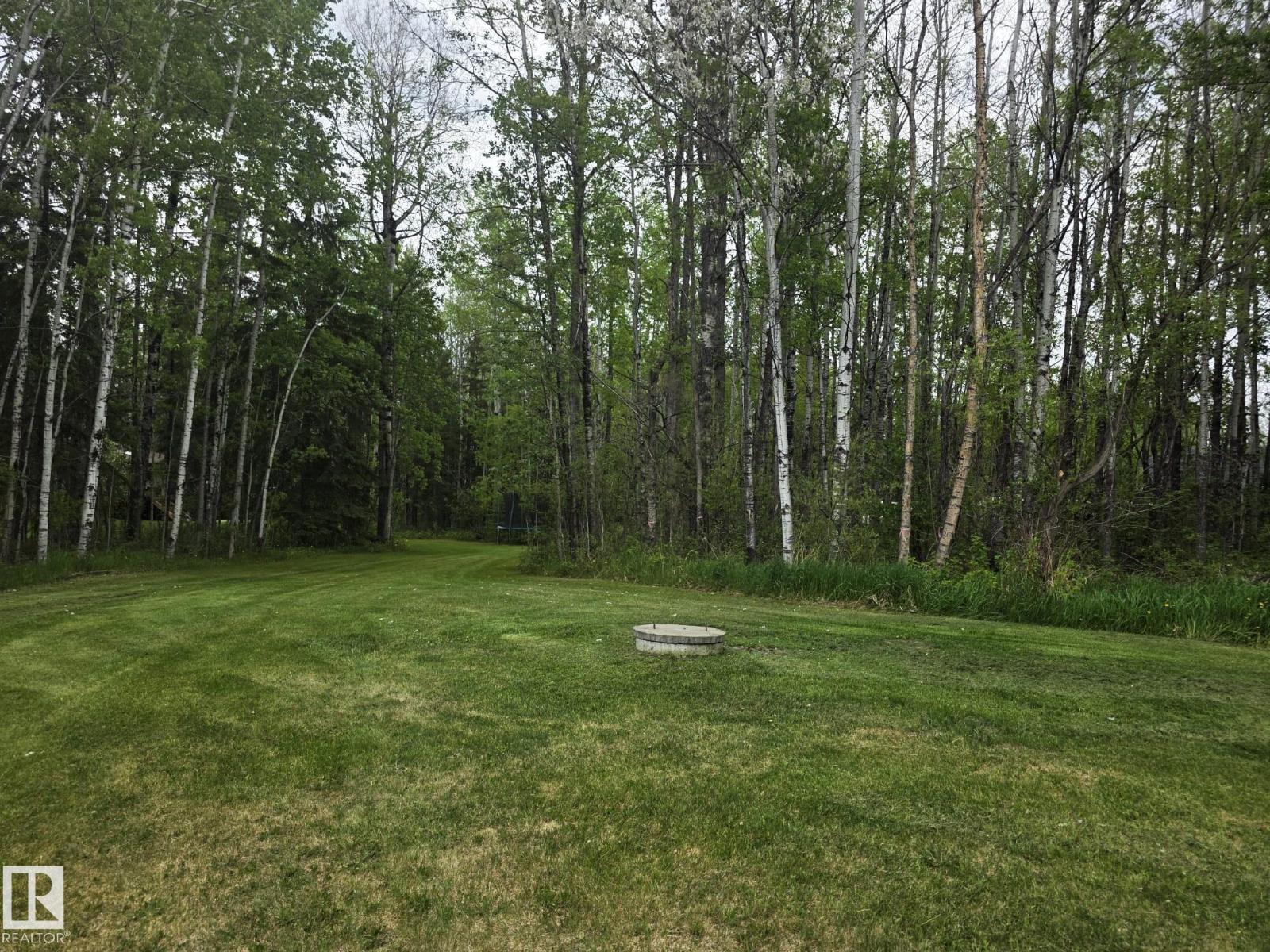 1, 49321 Range Road 72, Rural Brazeau County, Alberta T7A 2A2 - Photo 63 - E4491014