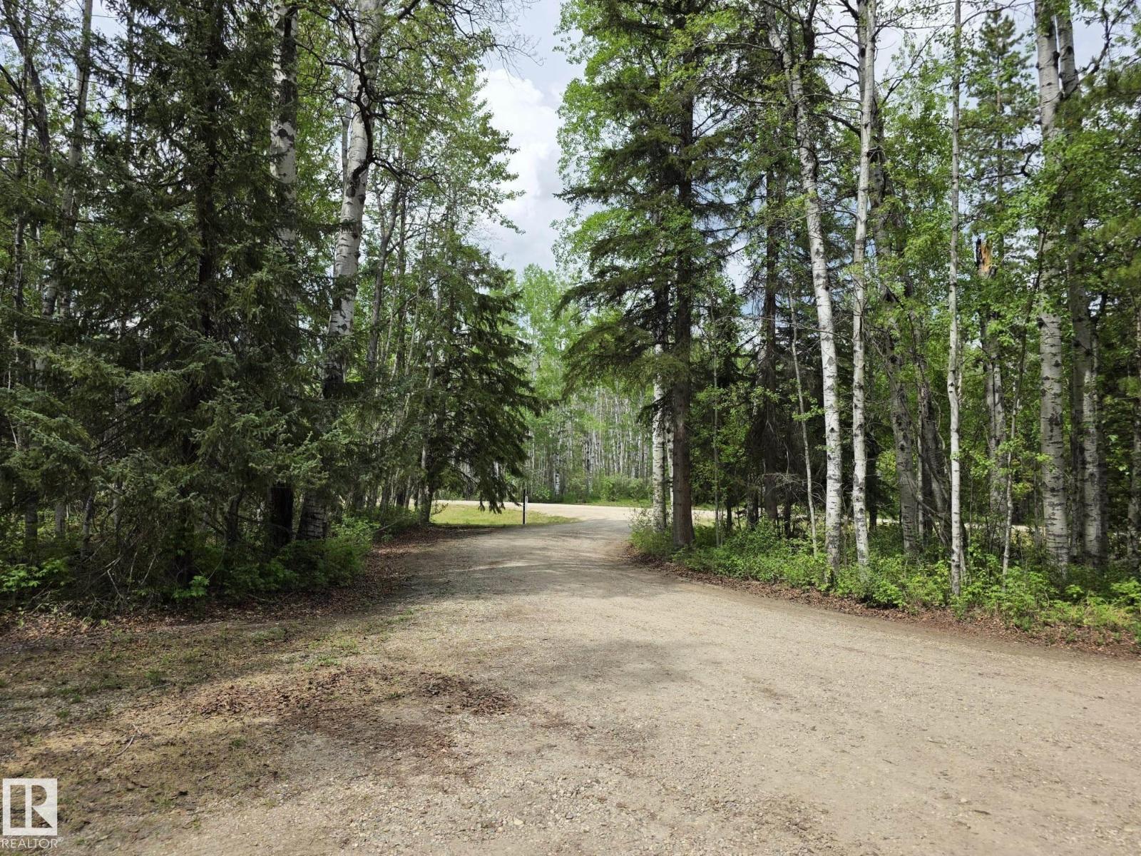 1, 49321 Range Road 72, Rural Brazeau County, Alberta T7A 2A2 - Photo 67 - E4491014