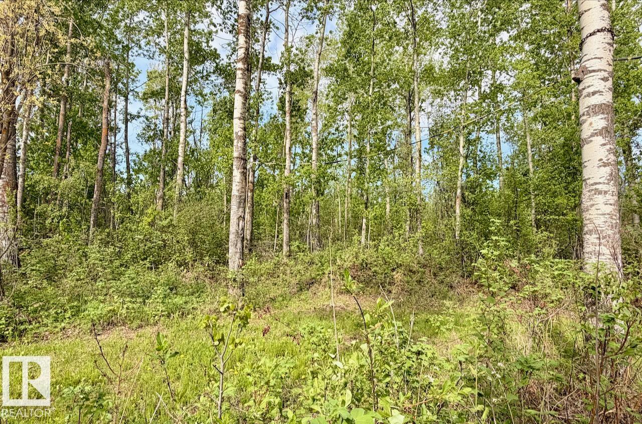 #9 53001 Rge Road 53, Rural Parkland County, Alberta T0E 2B0 - Photo 12 - E4491118