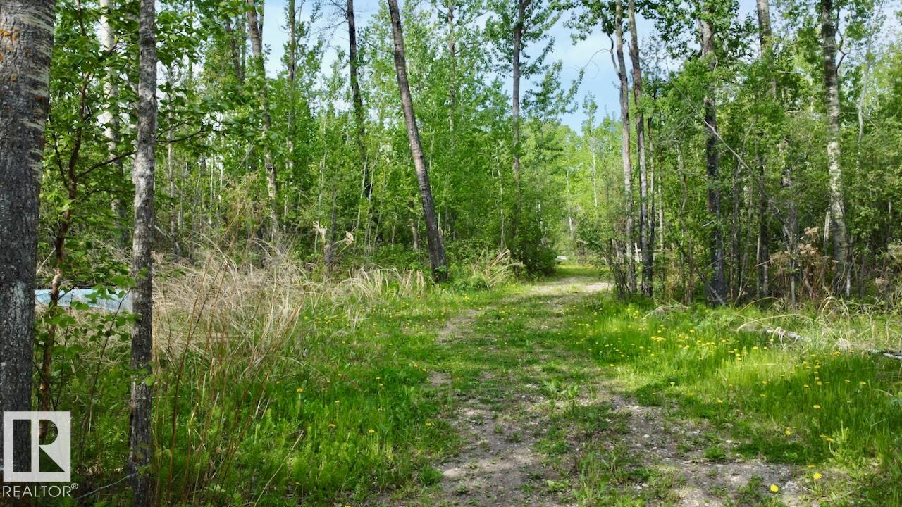 #9 53001 Rge Road 53, Rural Parkland County, Alberta T0E 2B0 - Photo 16 - E4491118