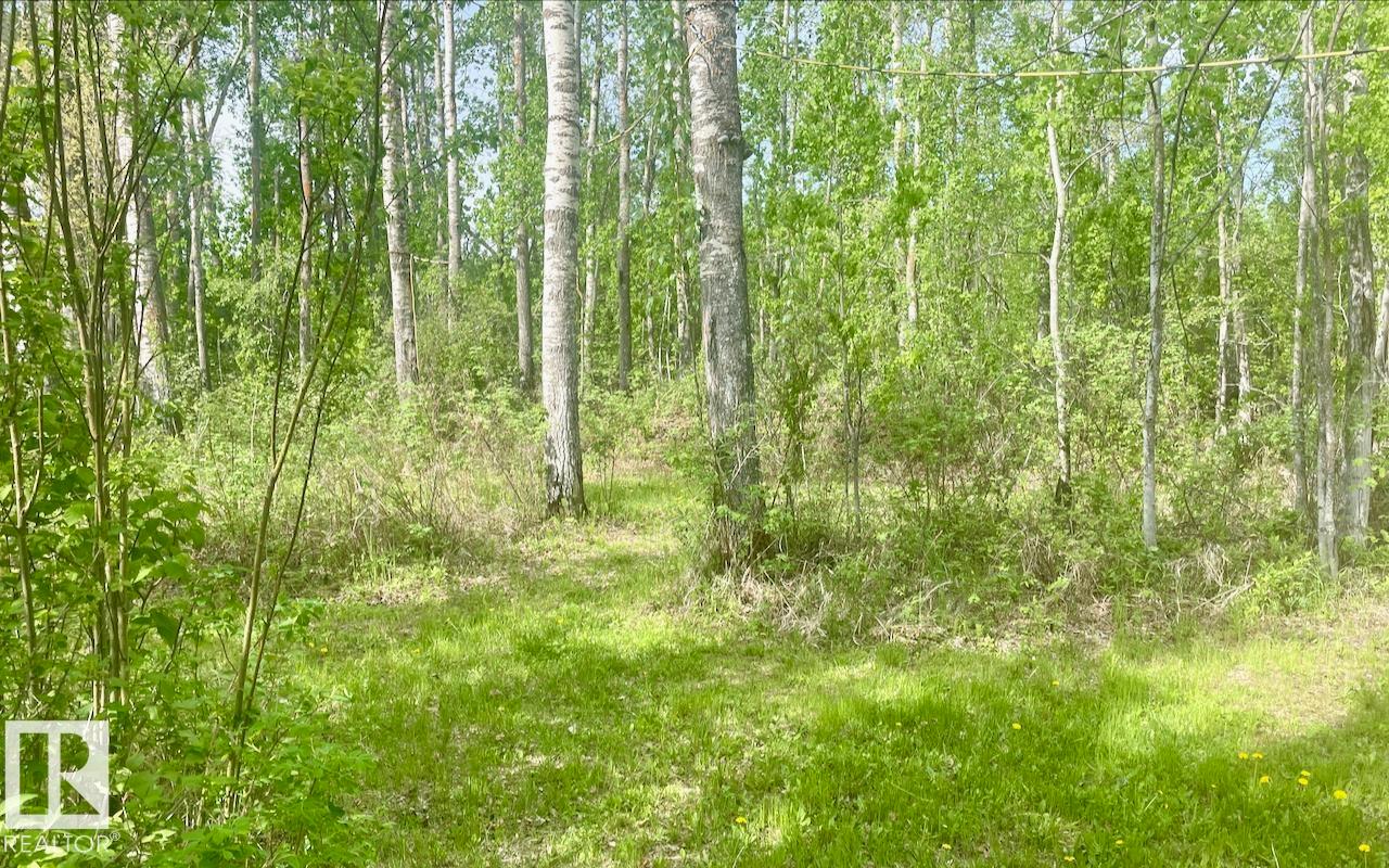 #9 53001 Rge Road 53, Rural Parkland County, Alberta T0E 2B0 - Photo 17 - E4491118