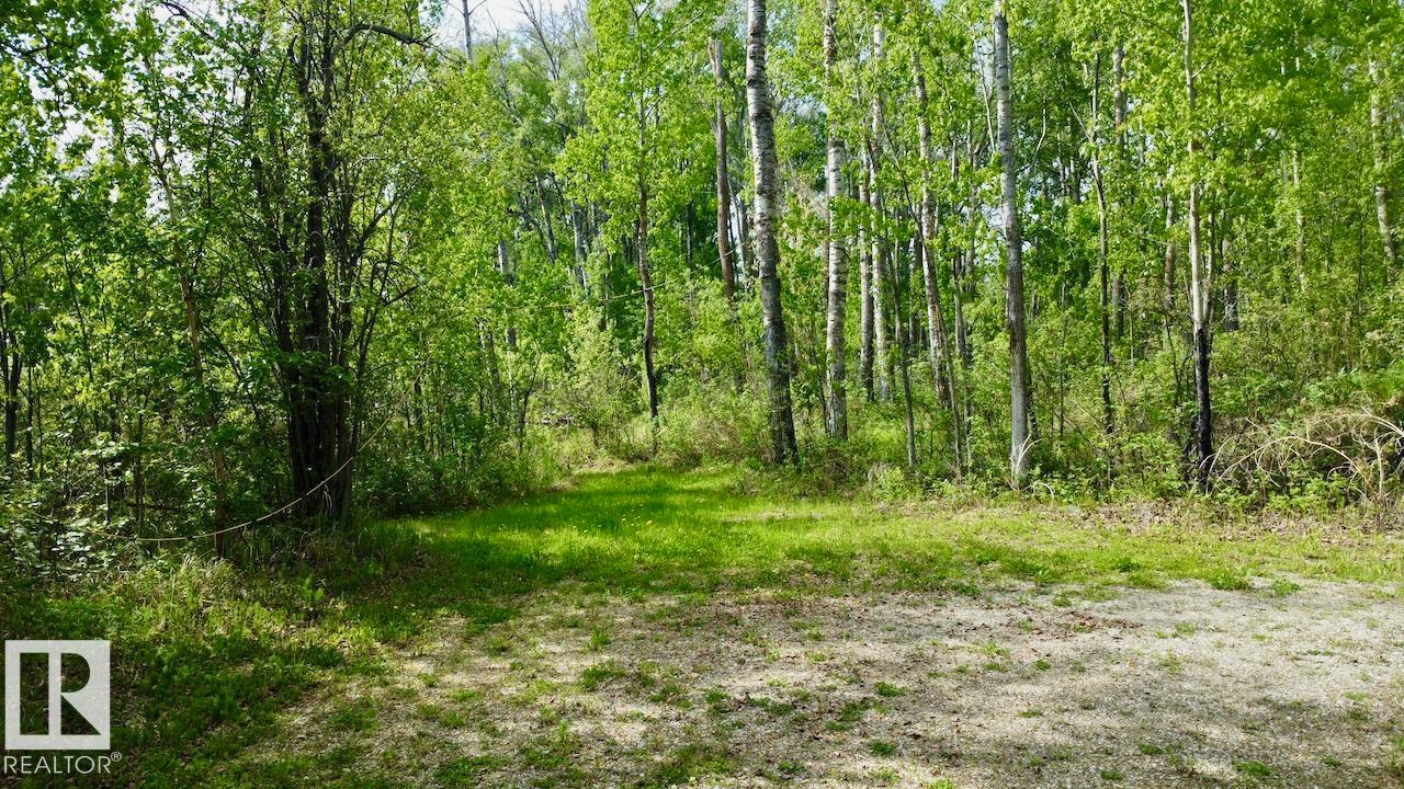 #9 53001 Rge Road 53, Rural Parkland County, Alberta T0E 2B0 - Photo 19 - E4491118