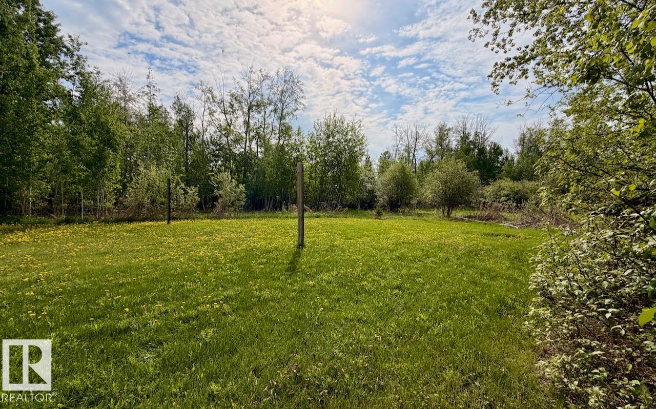 #9 53001 Rge Road 53, Rural Parkland County, Alberta T0E 2B0 - Photo 9 - E4491118