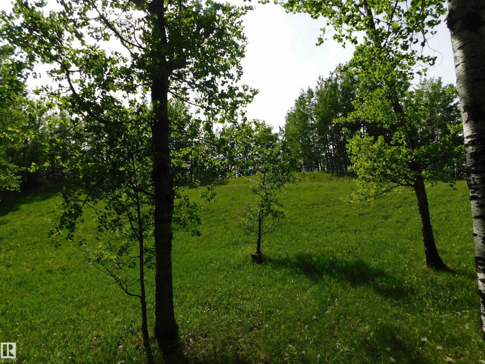 52123 Rge Road 25, Rural Parkland County, Alberta T0E 0H0 - Photo 12 - E4491161