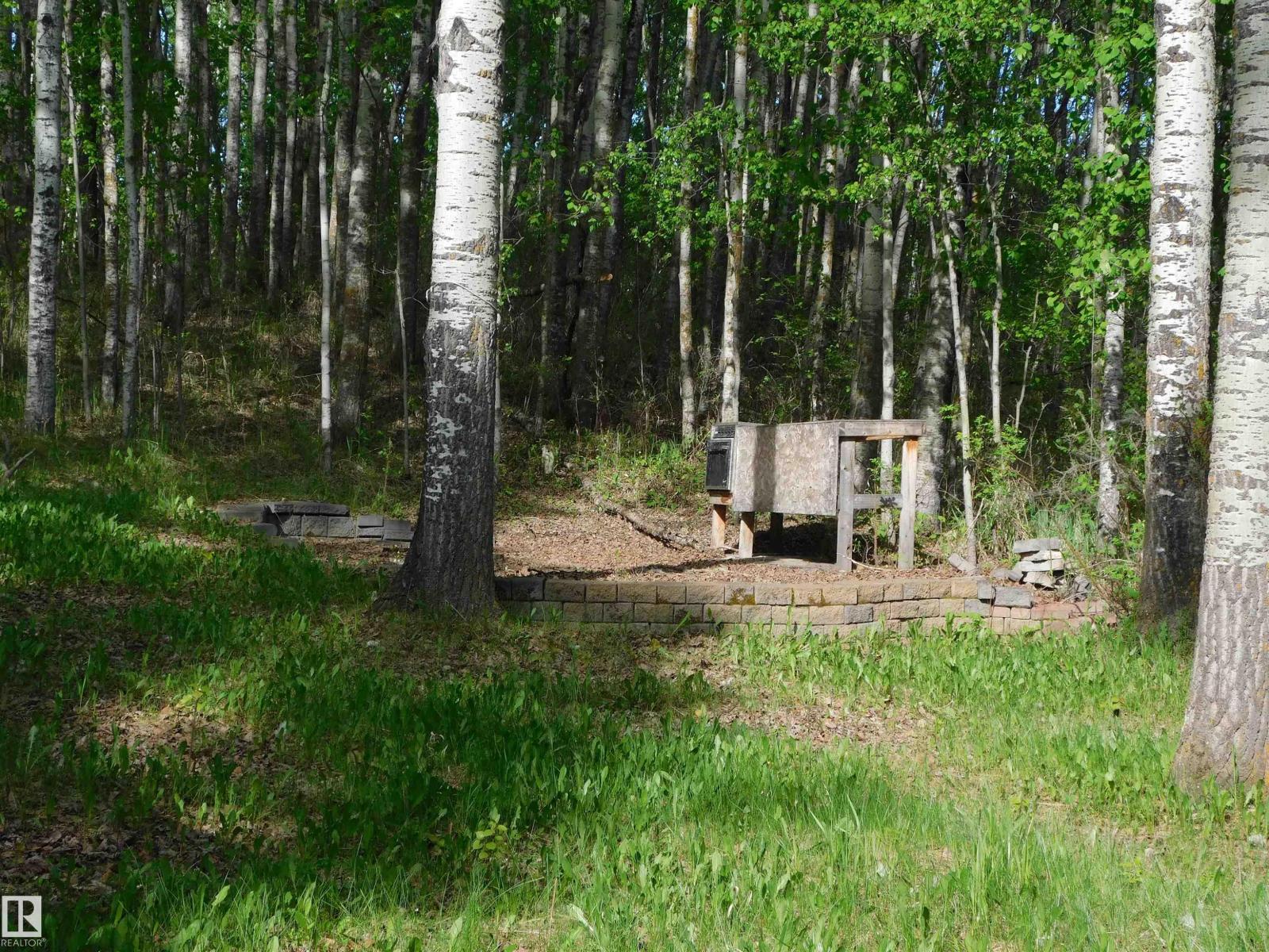 52123 Rge Road 25, Rural Parkland County, Alberta T0E 0H0 - Photo 27 - E4491161