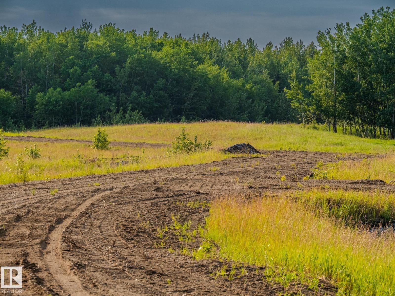Nw 14-47-24-4, Rural Wetaskiwin County, Alberta  T0C 1Z0 - Photo 24 - E4491363