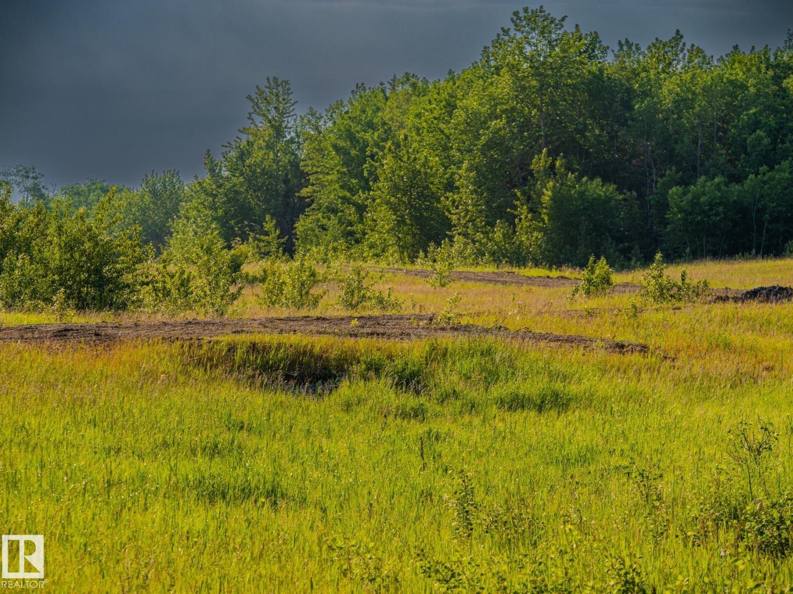 Nw 14-47-24-4, Rural Wetaskiwin County, Alberta  T0C 1Z0 - Photo 26 - E4491363