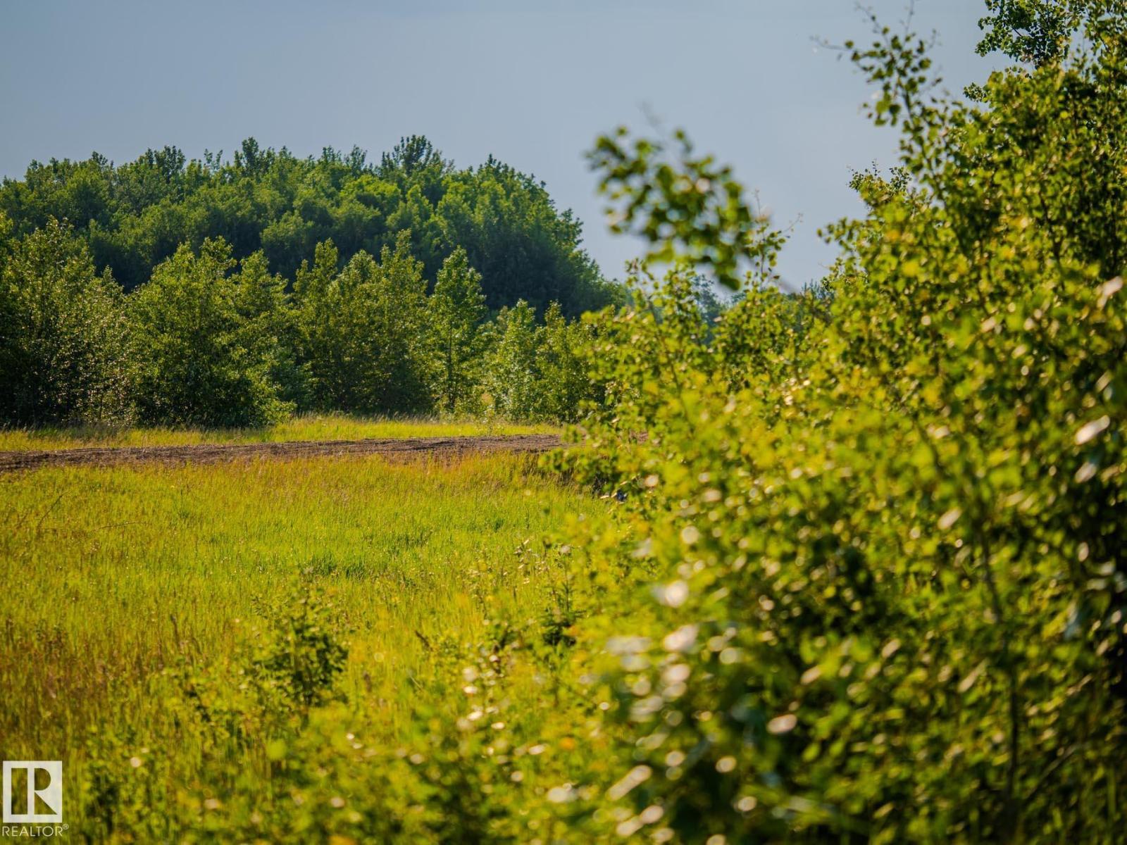 Nw 14-47-24-4, Rural Wetaskiwin County, Alberta  T0C 1Z0 - Photo 28 - E4491363