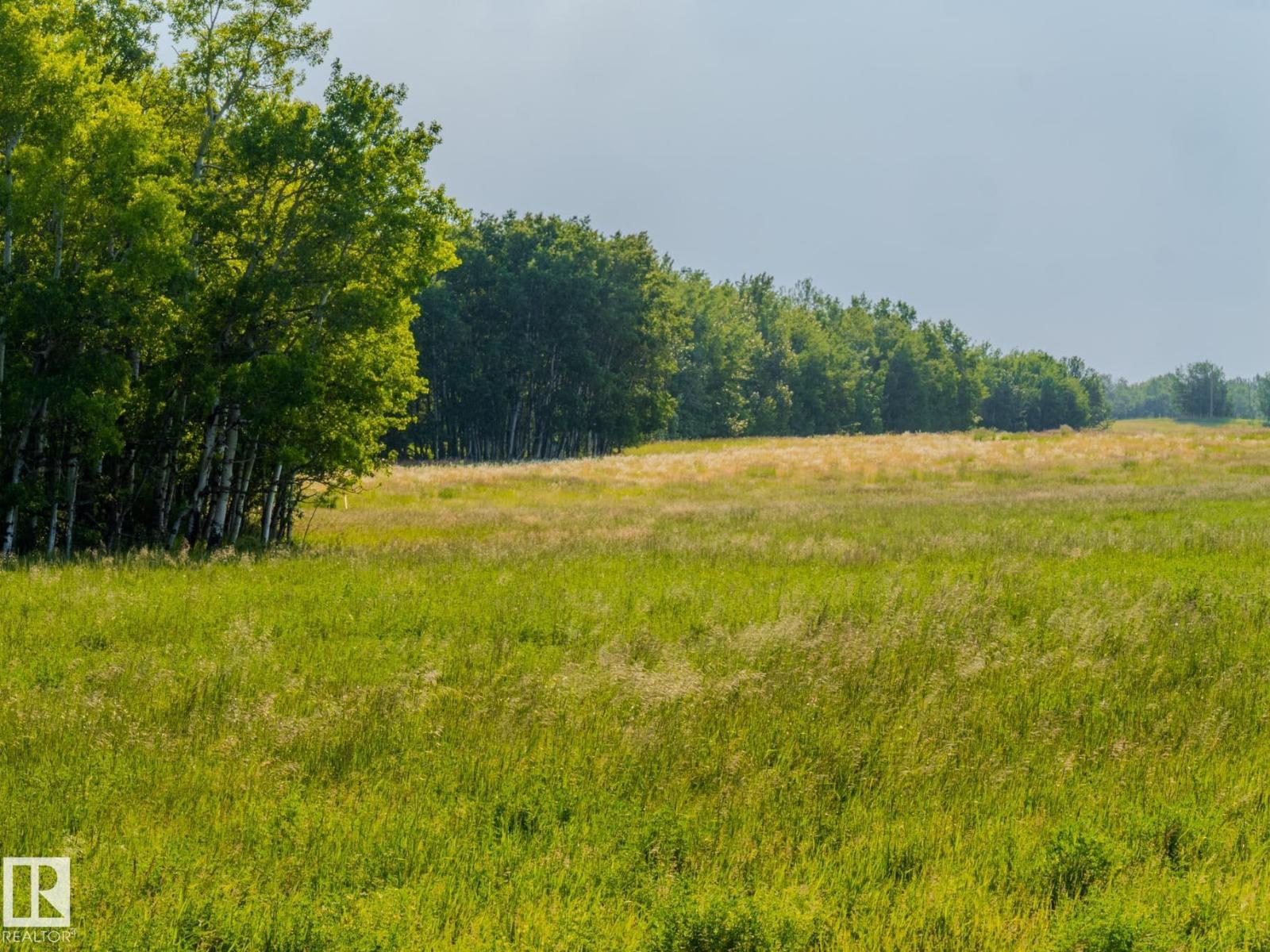 Nw 14-47-24-4, Rural Wetaskiwin County, Alberta  T0C 1Z0 - Photo 34 - E4491363