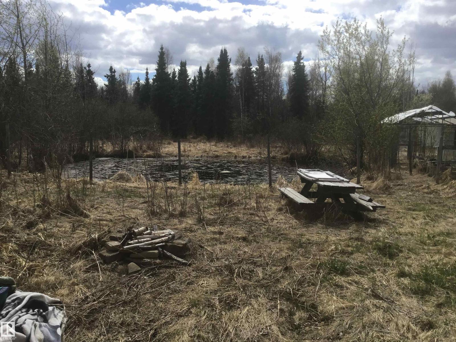 48022 Rge Road 60, Rural Brazeau County, Alberta  T0C 0S0 - Photo 4 - E4491568