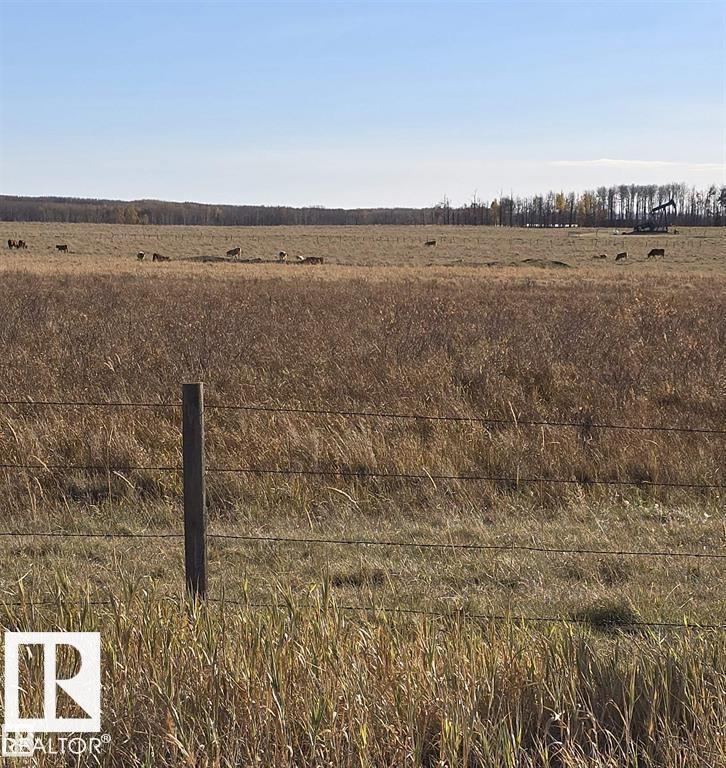 465051 Rge Road 41, Rural Wetaskiwin County, Alberta T0C 2X0 - Photo 25 - E4491778