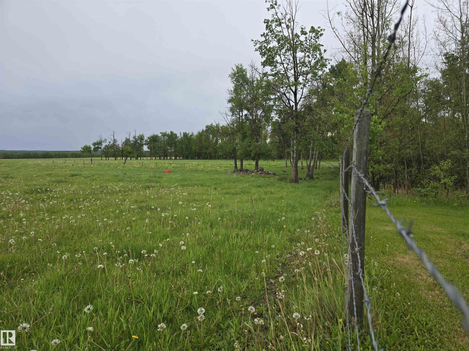 465051 Rge Road 41, Rural Wetaskiwin County, Alberta T0C 2X0 - Photo 3 - E4491778