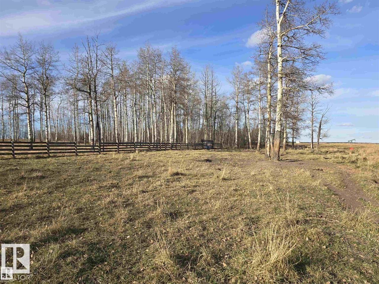 465051 Rge Road 41, Rural Wetaskiwin County, Alberta T0C 2X0 - Photo 31 - E4491778