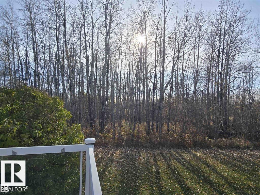 465051 Rge Road 41, Rural Wetaskiwin County, Alberta T0C 2X0 - Photo 35 - E4491778