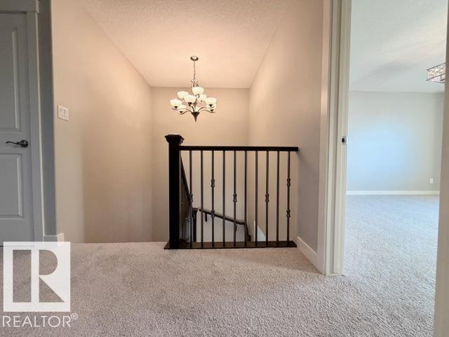 5025 53 Av, Calmar, Alberta  T0C 0V0 - Photo 20 - E4491943